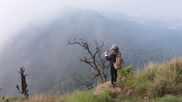 Fog at Langbiang peak