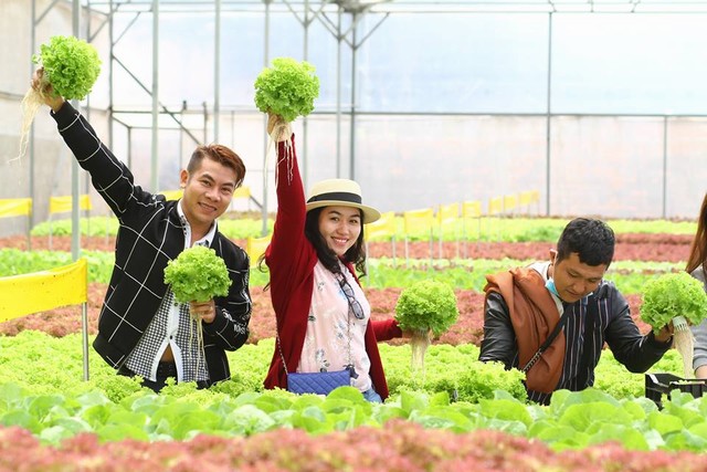 High-tech Vegetable Farm